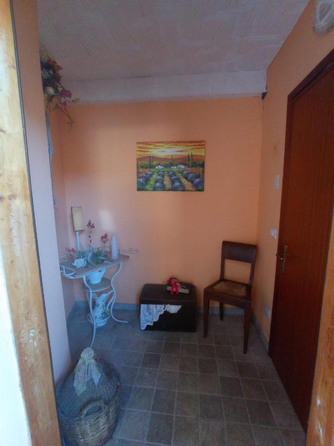 Bed and Breakfast La Tana del Ghiro Locazione Turistica Sedico Esterno foto